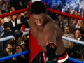 Trò chơi Cuối cùng Boxing  trực tuyến