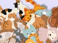 Trò chơi Tìm Kitty  trực tuyến