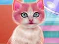 Trò chơi Chăm sóc Răng miệng Kitty trực tuyến