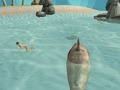 Trò chơi Trò chơi Shark Simulator Beach Killer  trực tuyến