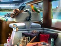 Trò chơi Tội phạm ở Caribbe  trực tuyến