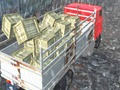 Trò chơi Lái xe tải Offroad  trực tuyến