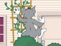 Trò chơi Tom und Jerry: Wasserbomben Wahnsinn trực tuyến