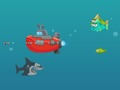 Trò chơi Cá mập Dash trực tuyến