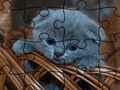 Trò chơi Puzzel: Mèo trực tuyến