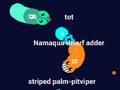 Trò chơi Curvz. io  trực tuyến