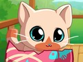 Trò chơi Túi của tôi vật nuôi mèo kitty  trực tuyến