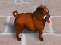 Trò chơi Pugs vội vàng trực tuyến