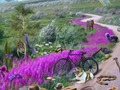 Trò chơi Dấu vết biến mất  trực tuyến