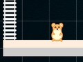 Trò chơi Hamster thông minh: Chẵn và lẻ  trực tuyến