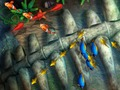 Trò chơi Vua câu cá  trực tuyến