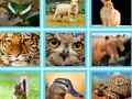 Trò chơi Câu đố Hình ảnh EG trực tuyến