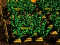 Trò chơi Nông trại Pixel trực tuyến