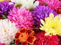 Trò chơi Câu đố Ngày của Mẹ 2019 trực tuyến