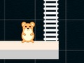 Trò chơi Giờ Hamster Thông Minh  trực tuyến