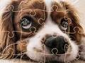 Trò chơi Câu đố vui về những chú chó  trực tuyến