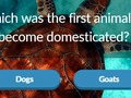Trò chơi Trivia Động Vật trực tuyến