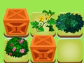 Trò chơi Sự kết hợp của thực vật  trực tuyến
