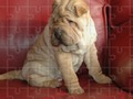 Trò chơi Ghép Hình Cổ Điển trực tuyến