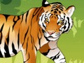 Trò chơi Tô màu hổ giận dữ trực tuyến