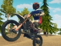 Trò chơi Dirt Bike Enduro Racing trực tuyến