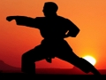 Trò chơi Karate Sunset Warriors trực tuyến