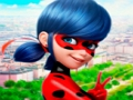 Trò chơi Bộ sưu tập câu đố ghép hình LadyBug  trực tuyến