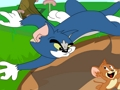 Trò chơi Tom và Jerry hợp tác  trực tuyến