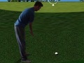 Trò chơi Flash Golf 3D  trực tuyến