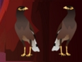 Trò chơi Pekin Duck Escape  trực tuyến