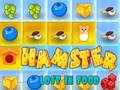 Trò chơi Chuột Hamster Bị Mất Trong Thức Ăn trực tuyến