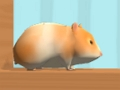 Trò chơi Hamster Maze trực tuyến  trực tuyến