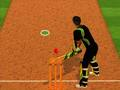 Trò chơi Thách thức của Vận động viên Cricket trực tuyến
