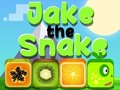 Trò chơi Jake Con Rắn trực tuyến