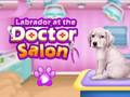 Trò chơi Labrador tại salon bác sĩ trực tuyến