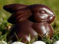 Trò chơi Bunny Pigsaw sô cô la trực tuyến