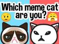 Trò chơi Bạn là con mèo meme nào? trực tuyến