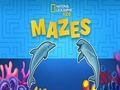 Trò chơi Nat Geo Kids Mazes trực tuyến