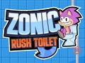 Trò chơi Nhà vệ sinh Sonic Rush trực tuyến