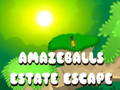 Trò chơi AMAZEBOABLS ESCET trực tuyến