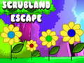 Trò chơi Scrubland trốn thoát trực tuyến