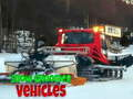 Trò chơi Xe Snow Groomer  trực tuyến