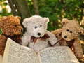 Trò chơi Cuddly ba trò chơi ghép hình Teddy trực tuyến