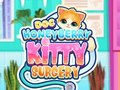 Trò chơi Tiến sĩ Phẫu thuật HoneyBerry Kitty  trực tuyến