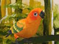 Trò chơi Câu đố Budgie dễ thương  trực tuyến