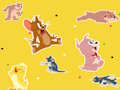 Trò chơi Chương trình Tom và Jerry Tìm nó!  trực tuyến