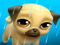 Trò chơi Thú cưng ảo Louie the Pug của tôi  trực tuyến