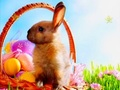 Trò chơi Ngôi Sao Ẩn Giấu Ngày Phục Sinh trực tuyến