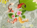 Trò chơi Ao cá Koi trực tuyến