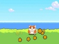 Trò chơi Chuột Hamster Kombat Clicker  trực tuyến